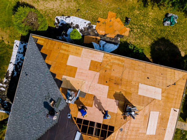 Professional Roofing Contractor in Sheridan, AR